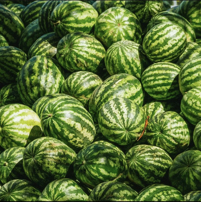 Органические арбузы Для дыни