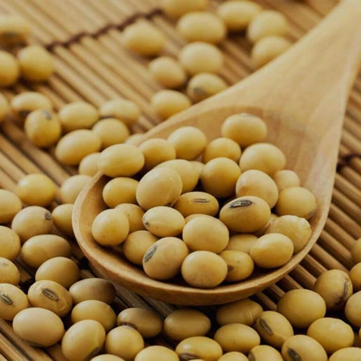 Best quality Non GMO Soybean Yellow/ Non-GMO Soya /Soja/ Soybeans for Human and Animal Consumption in bulk good price