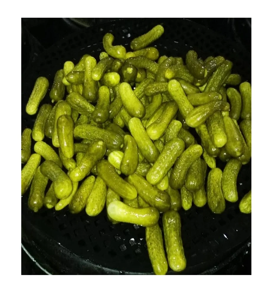 Salted Gherkin Pickles Fresh Cucumber Preserved Vegetable in Vinegar Canned Pickles at Low Price - Ms Caryln 0084935825297