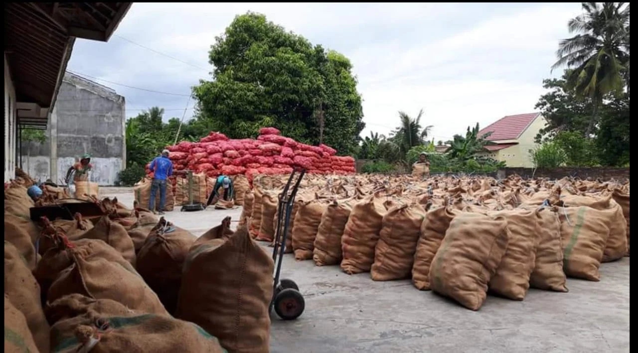 High Demand Top Quality Wholesale Dried dry Coconut Copra for Bulk Purchase