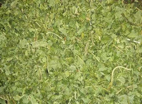 
Herb dried papaya leaves/ wholesale dried papaya leaf/ tea herb from Vietnam 