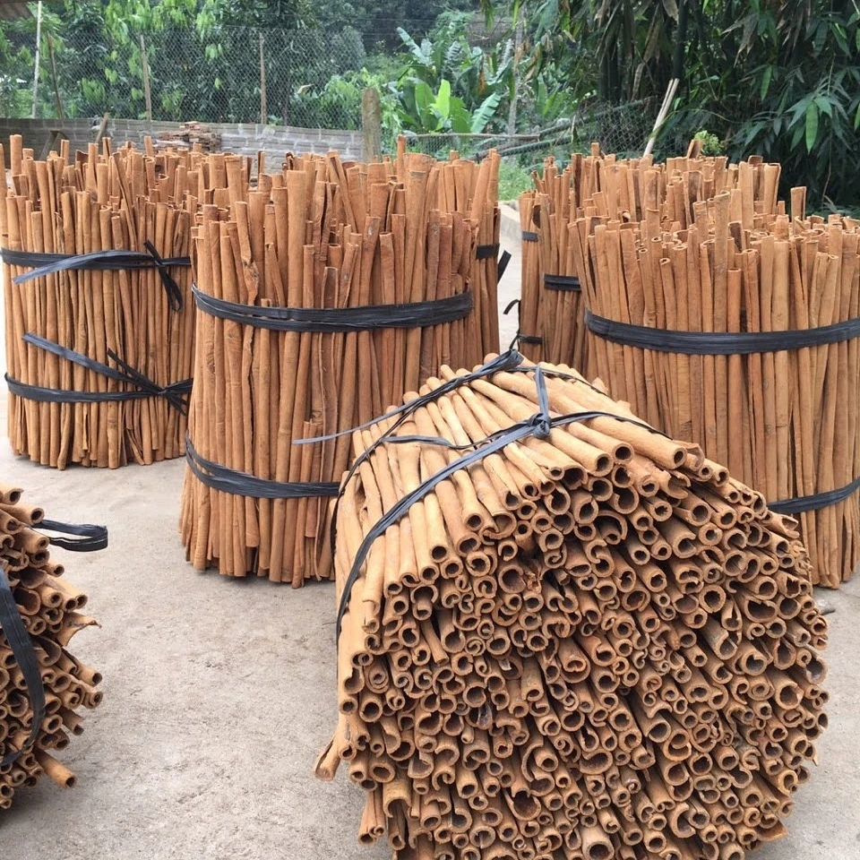 New crop Cinamon stick made in Viet Nam 100% High Quality Organic New Season Spices Herbs Viet Nam Spices Herbs