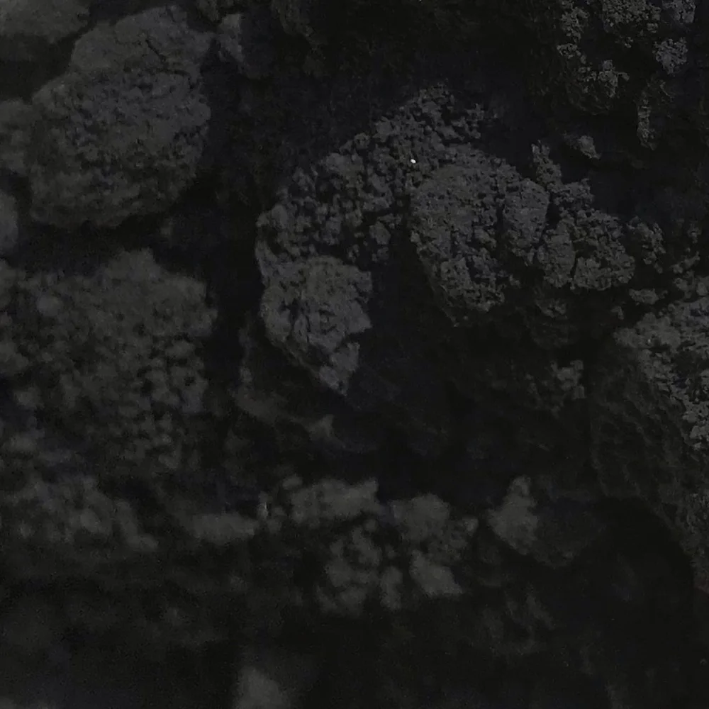 
Charcoal Powder Organic Coconut Shell Activated 