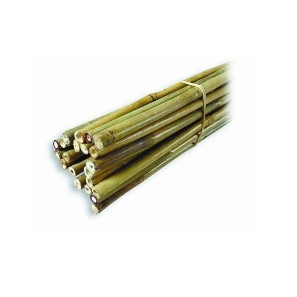  Натуральный Бамбуковый тростник Tonkin для поддержки или украшения растений по самой низкой цене/бамбуковые трости продажи/ротанговый бамбуковый