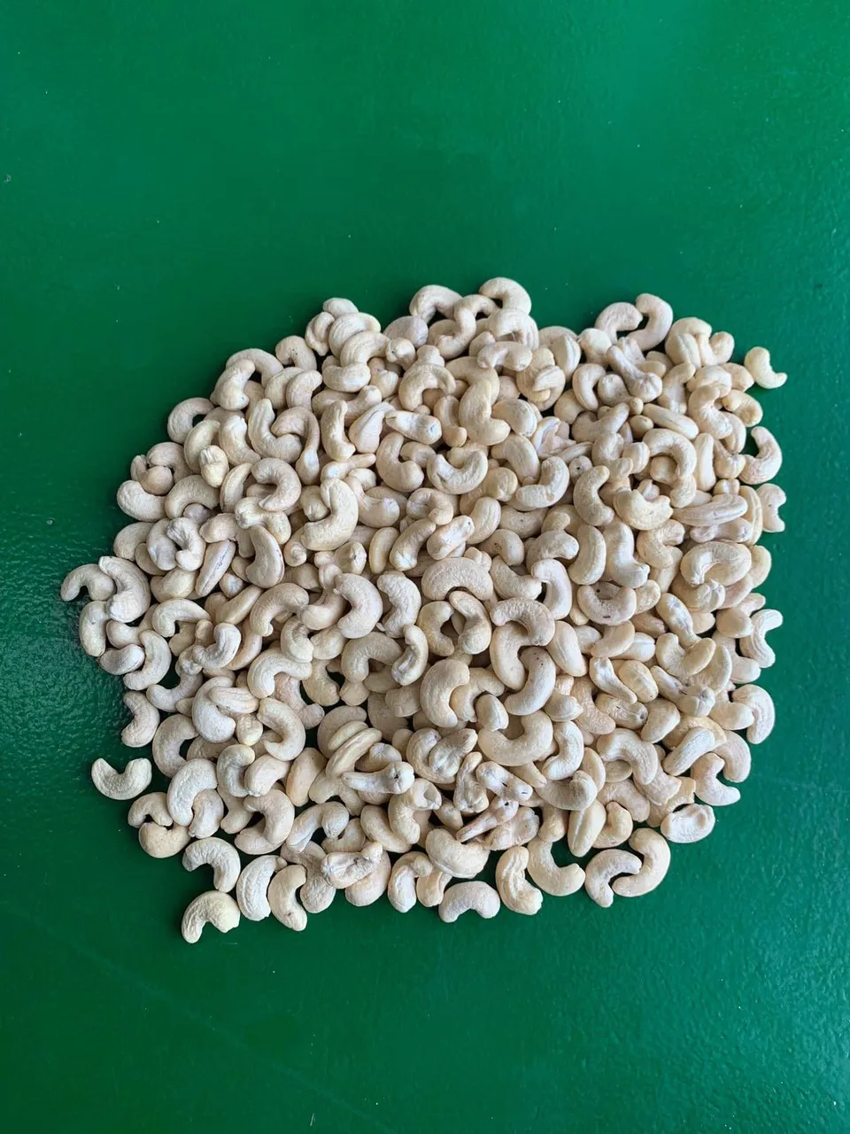 Vietnam Good Quality Cashew Nut Raw Bulk Cashews W240 Raw Cashew Nuts Prices Offered Dried Fruits Nuts