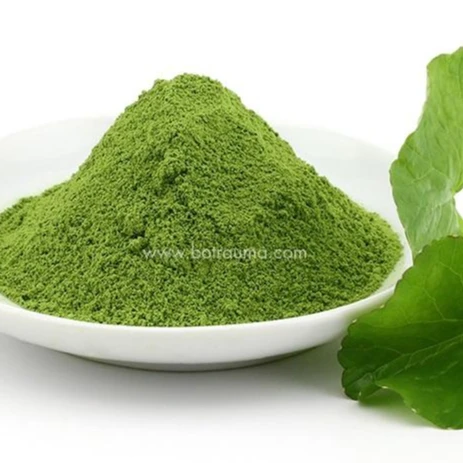 High Quality Cold Drying Gotu Kola Extract Powder Instant Healthy Drinks