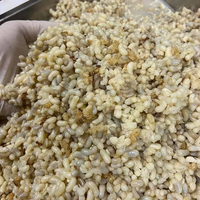 
Ant Eggs in salted water thailand products 400g 