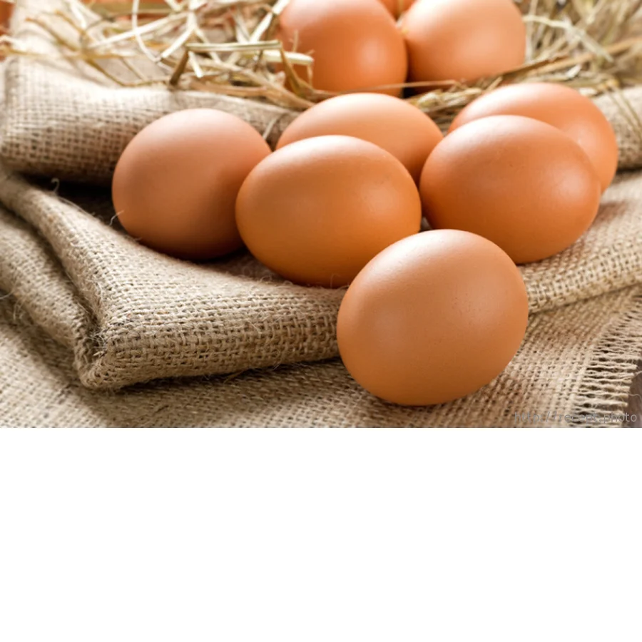Свежие куриные яйца белые экспортные в Ирак ОАЭ Либерию Молдову Анголу Кипр Великобританию и Грецию.