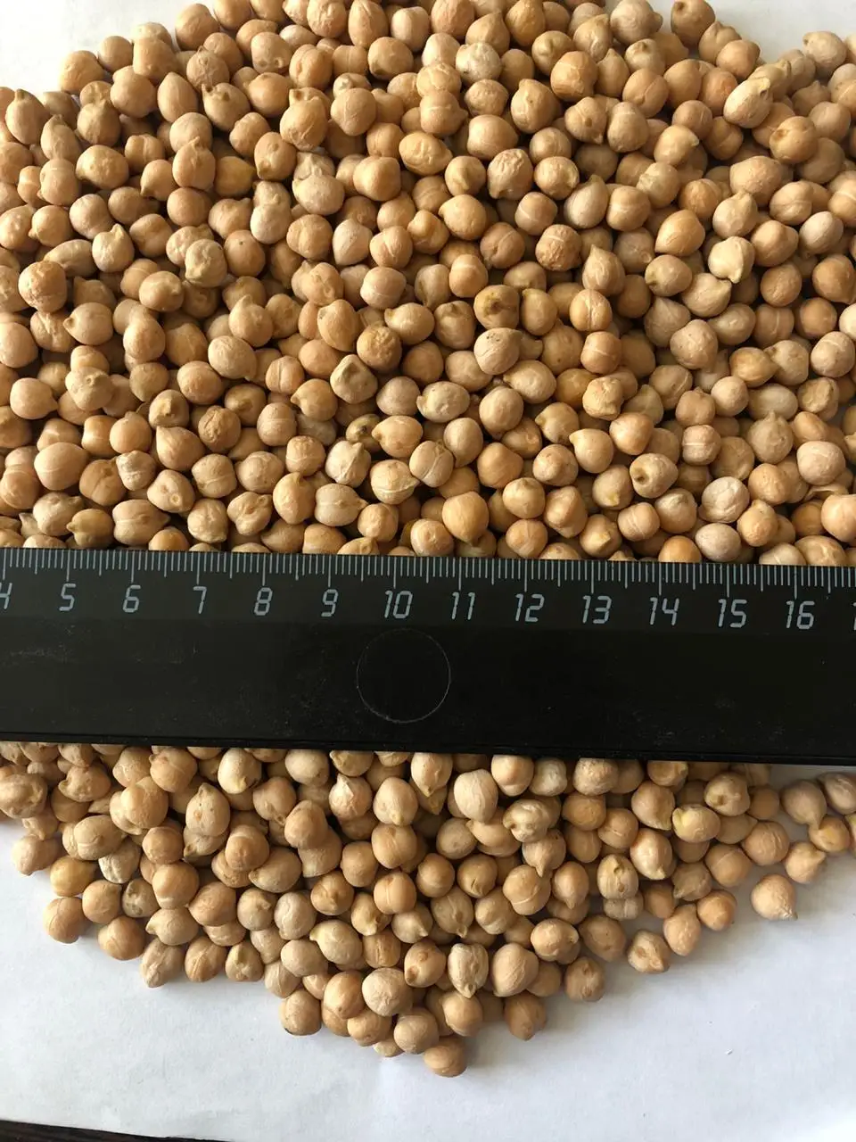 High Quality Wholesale Supply Russian Kabuli