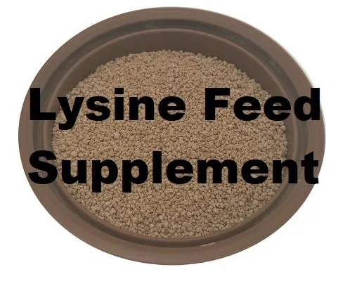 
Poultry Broiler Feed Raw Materials - L Lysine 25kg Bag L-lysine HCL 98.5% 
