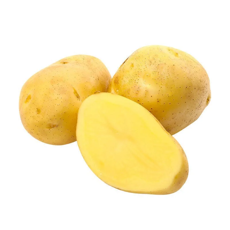 Wholesale China fresh yellow potato