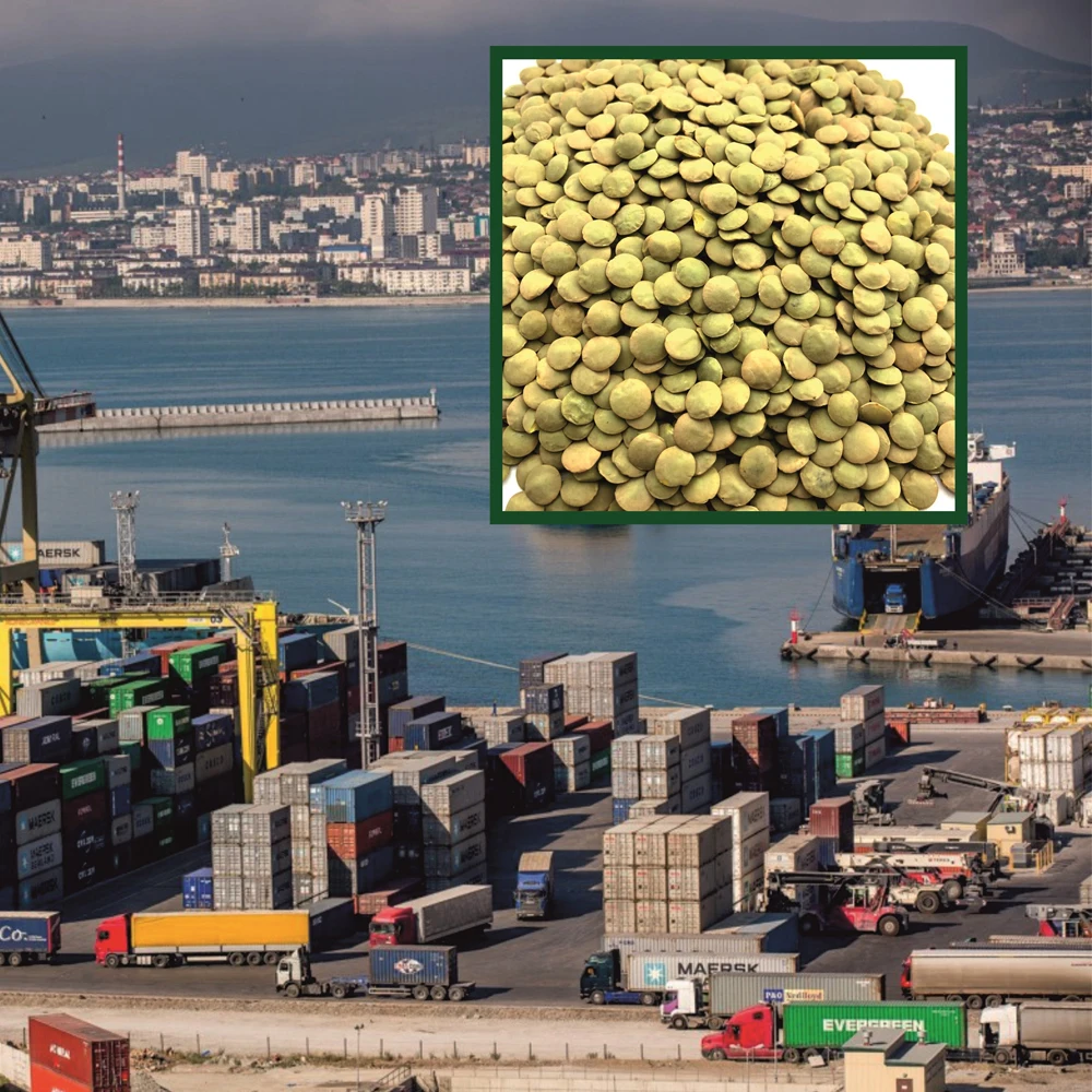 Great quality whole lentils big bag, from manufacturer