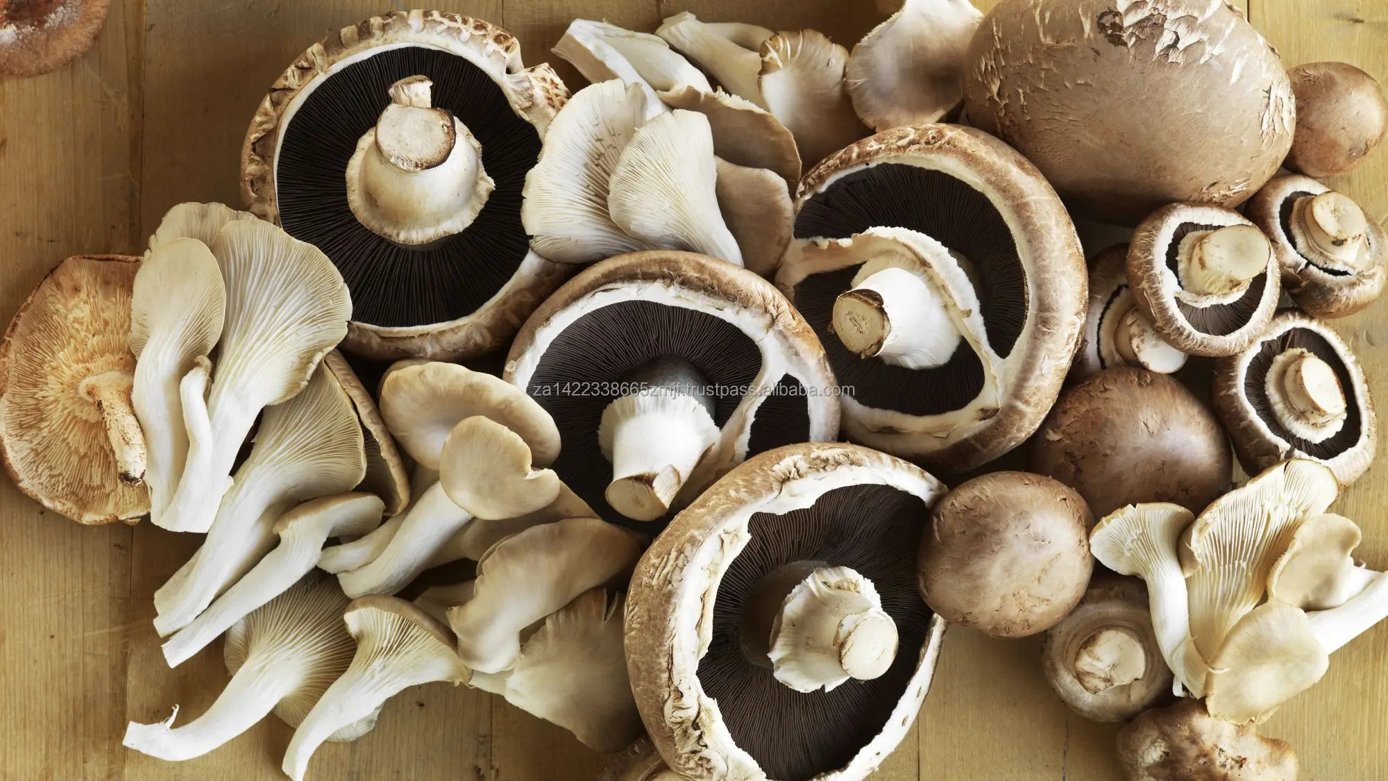 Porcini Mushroom3.jpg
