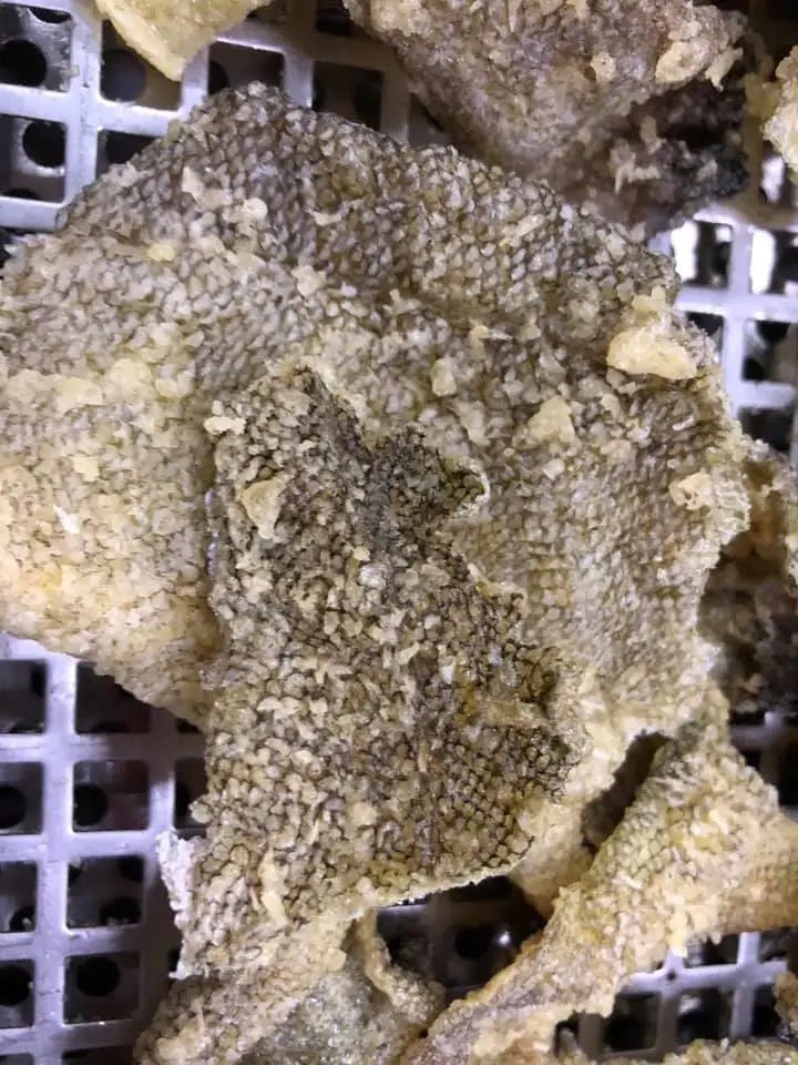 Healthy Seafood - Crispy Salmon Fish Skin - Best price from Viet Nam//Ms Jenny: +84 905 926 612