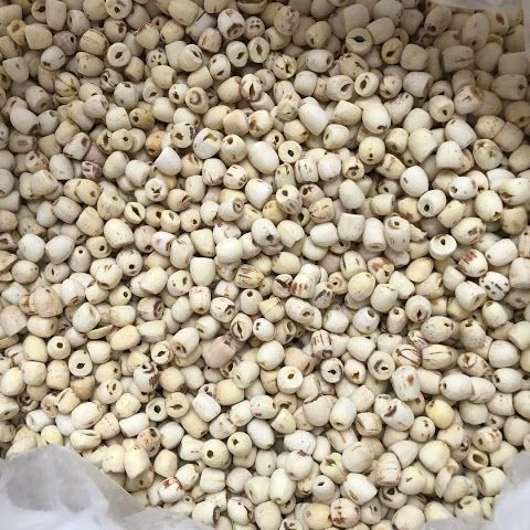 
DRIED WHITE LOTUS SEED HOT SALE FROM VIETNAM HIGH QUALITY 