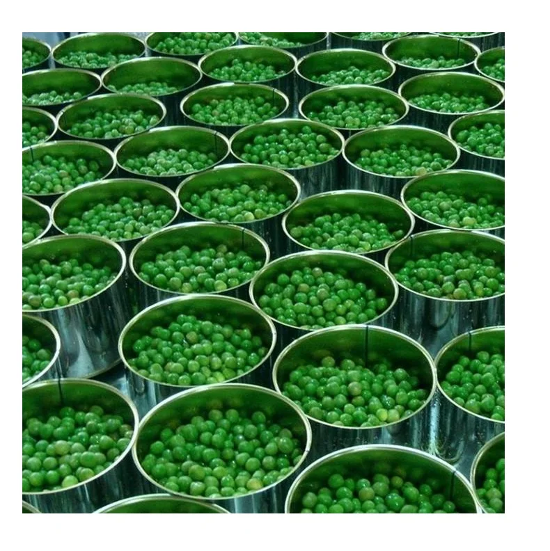 
canned green peas Top quality best Price Bulk Quantity available Wholesale dealer 