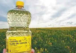 100% Pure Refined  canola oil