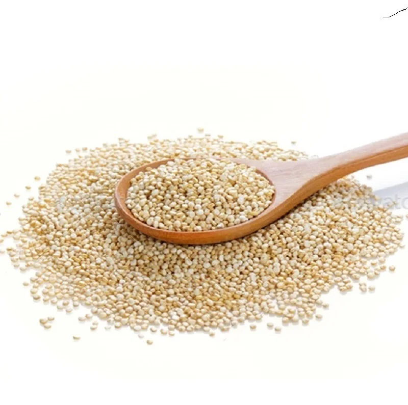 Quinoa Seed :  how much quinoa can a diabetic eat