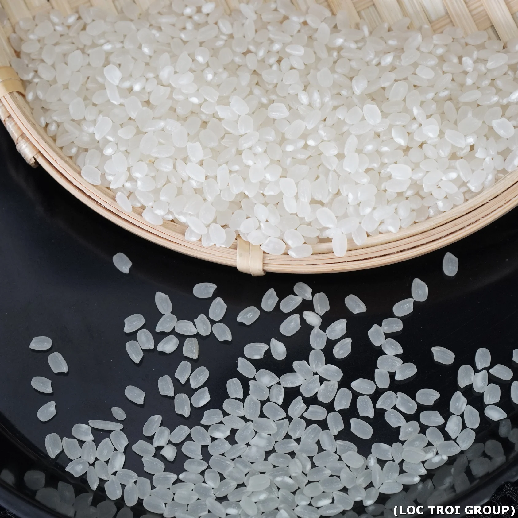 Wholesale Premium Quality Short-Grain Rice White Color Japonica Rice DS1from Vietnam Best Supplier