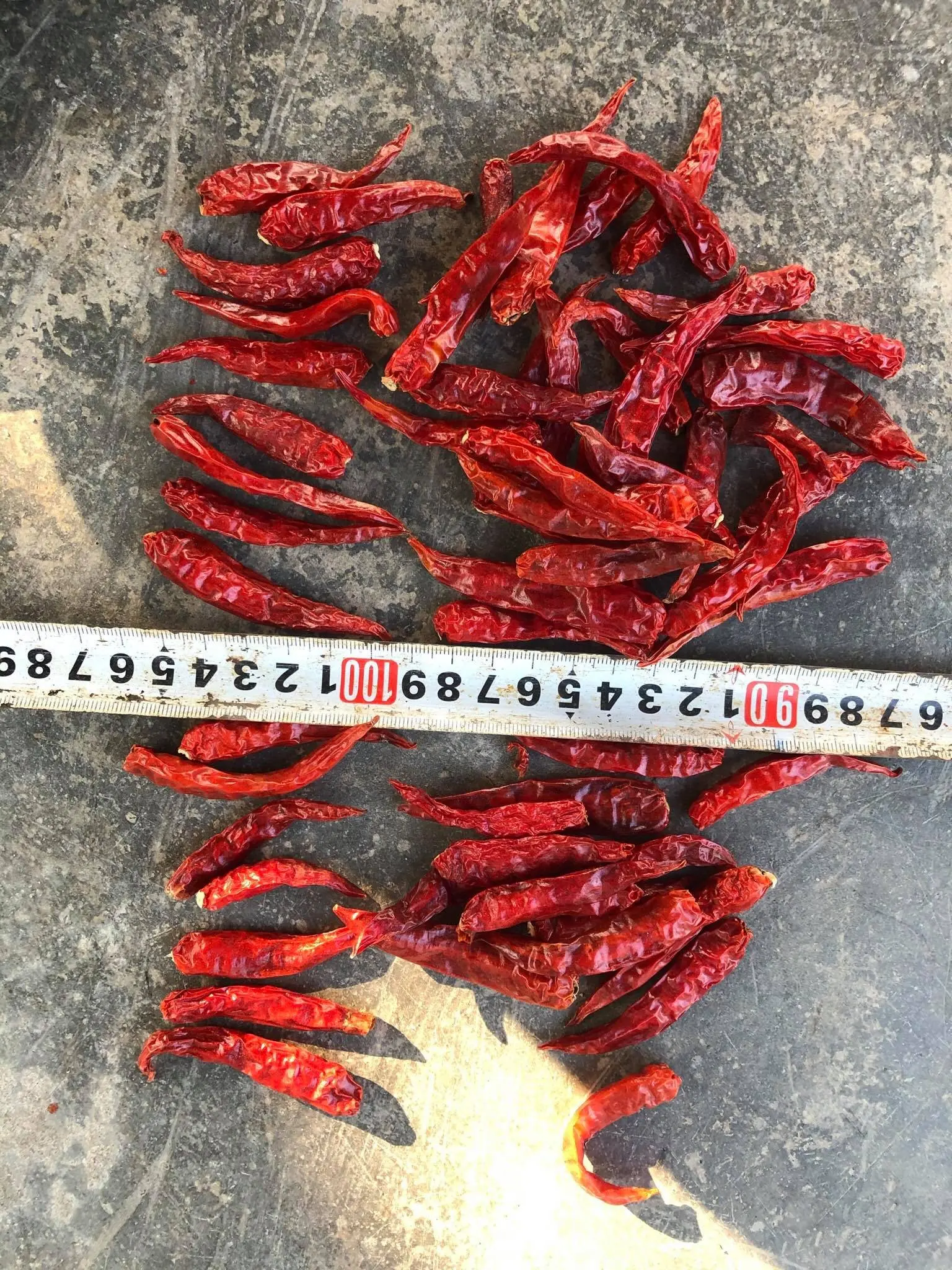 Сушеные приправы с красным перцем чили-специи приправами/сухие порошковые перцы чили/мс Деми + 84 961733400