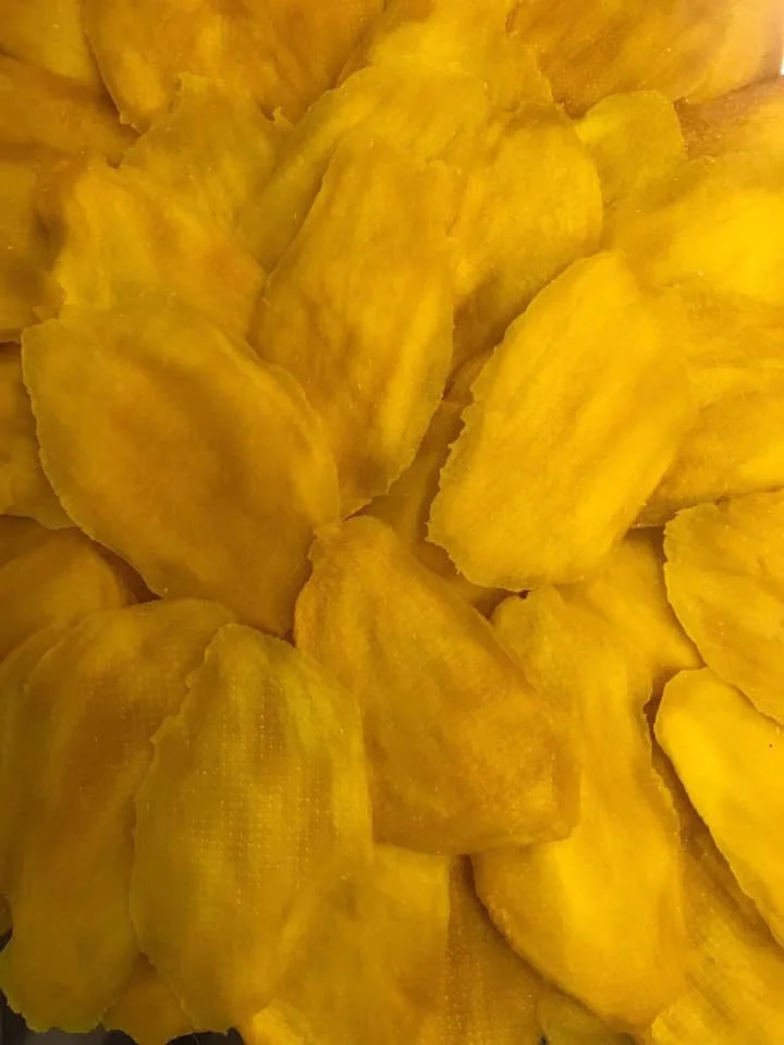  Выгодная цена сухое мягкое манго нарезанное на экспорт во Вьетнаме 2021