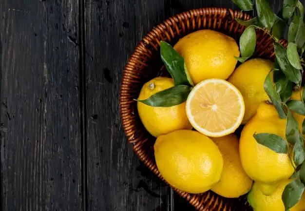 Perfect Price & quality Egyptian lemon