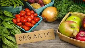 
Farm Fresh Indian Vegetables 