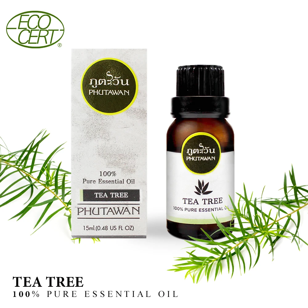 Высококачественное органическое 100% чистое эфирное масло 15 мл Ароматизированная ароматерапия чайного дерева оптовая продажа OEM частная торговая марка