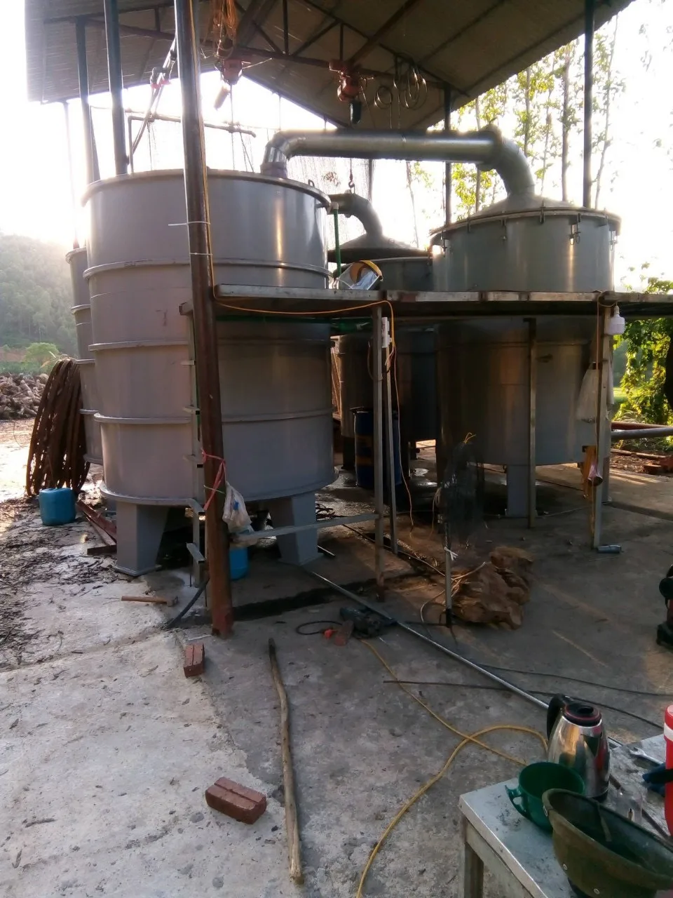 Горячая Распродажа черный кардамон кассия корица цинмон высокая эссенция Хлебобулочные ингредиенты черная цейлонская производитель сделано в Vie