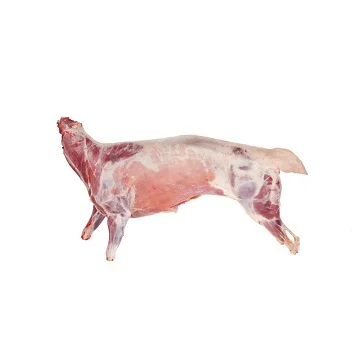 Whole Frozen Lamb Carcass available for very good price