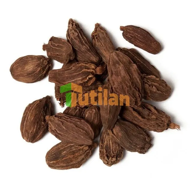 TOP SALE SINGLE SPICES & HERBS HIGH QUALITY NATURAL CARDAMOM