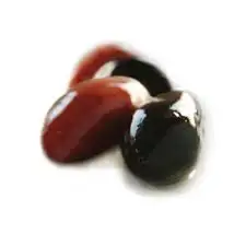  Сельскохозяйственный органический свежий оливковый для продажи зеленый оливковый/черный оливковый/коричневый и желтый