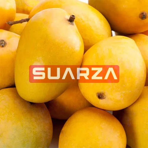 EU quality approved Fresh mangoes of different variety/ Fresh nutritious Mango  for Sale/fresh mango manufacturer