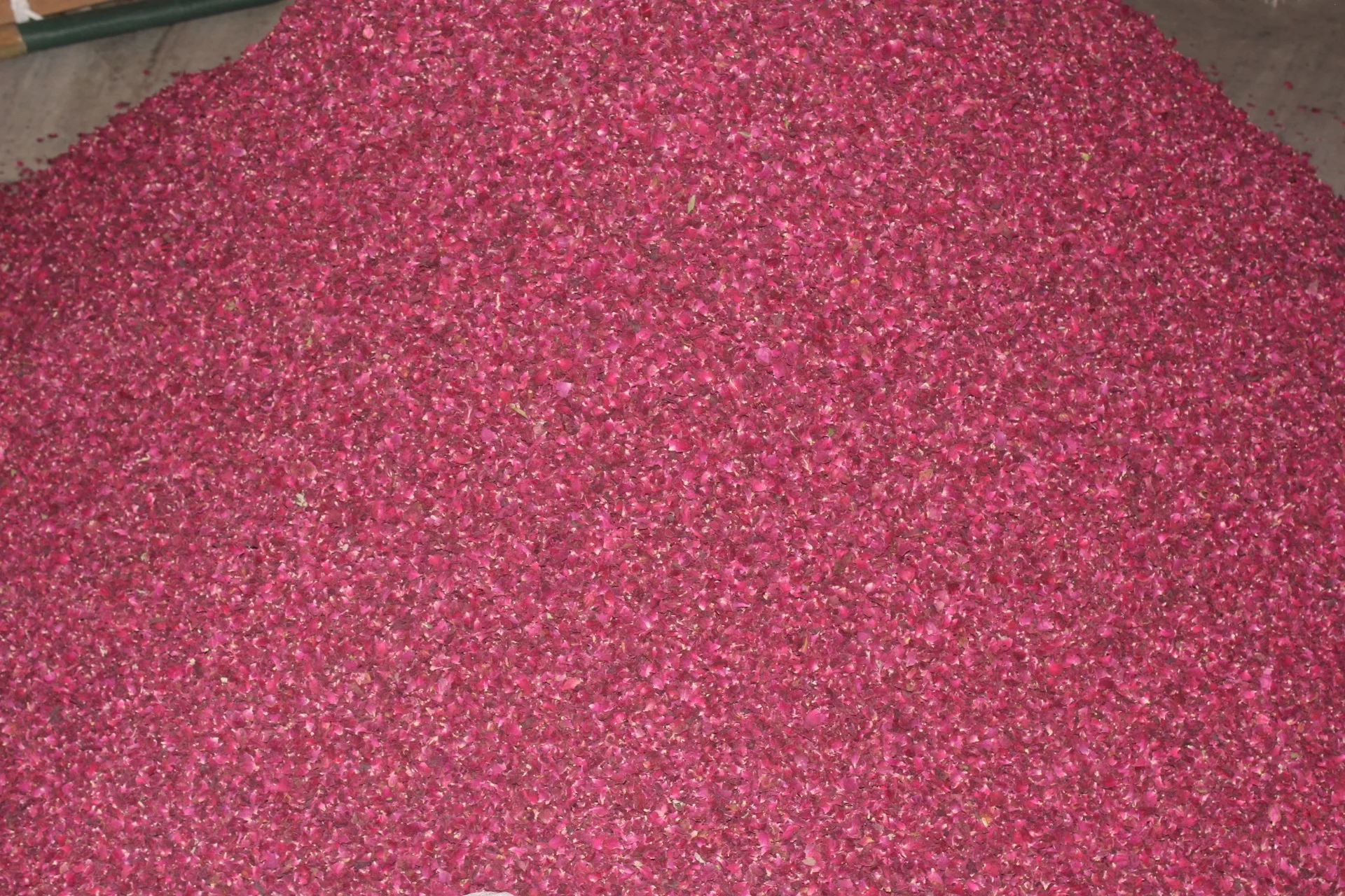 High Quality Multipurpose Industry Use Natural Dried Red Rose Petal For Use in Cosmetic Food products