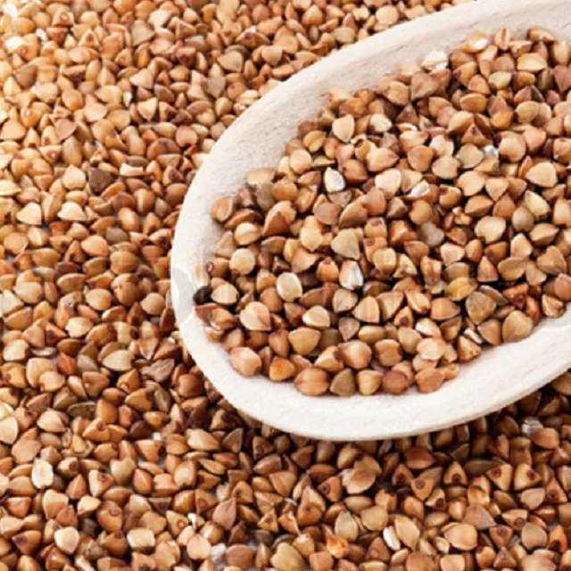  Buckwheat Husk Shell Pillow Hull