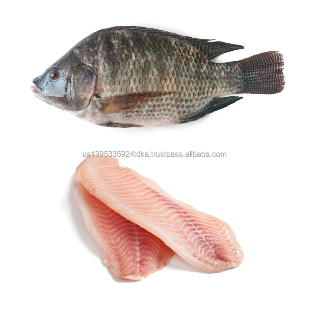 Tilapia-Frozen.jpg