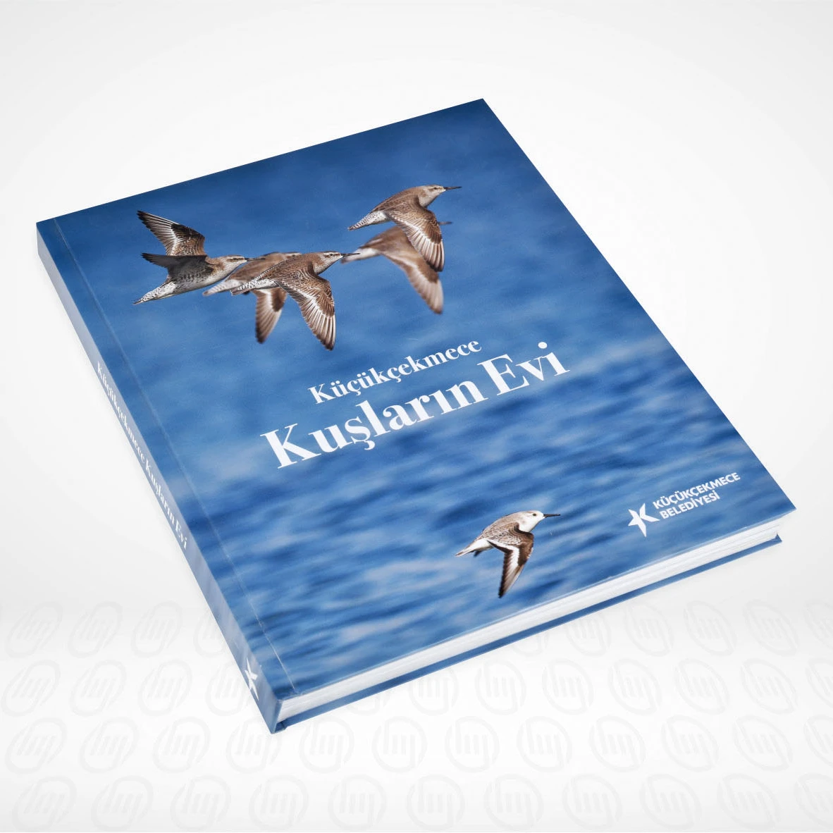 Книги: качественная оптовая продажа, цветной дизайн, офсетная брошюра с седлом, подвязка, брошюра, каталог на заказ, служба печати