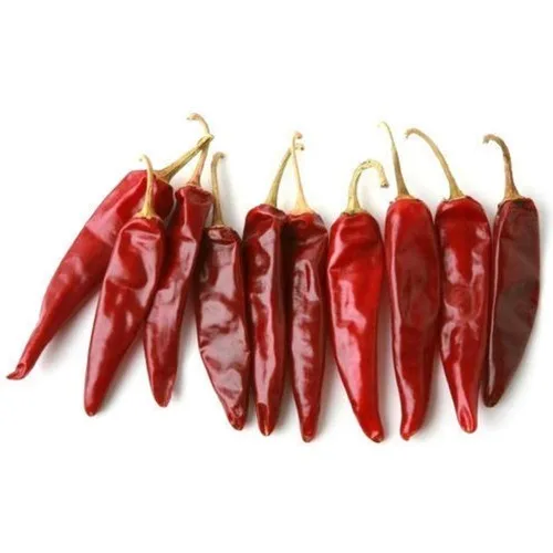 Indian Guntur Chilli exporter
