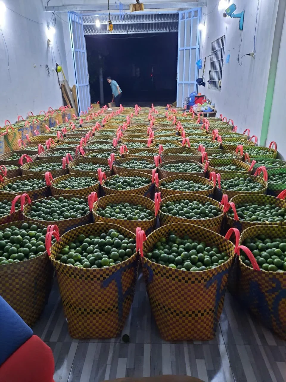 Вьетнамские свежие фрукты без семян Лайма-WS 0084 989 322 607