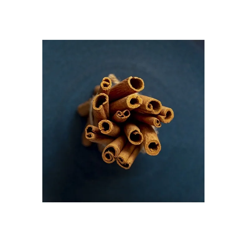 Wholesale Premium Quality Natural Dark Dried Style Raw Processing Piece Shape Cigarette Cassia Origin From Vietnam