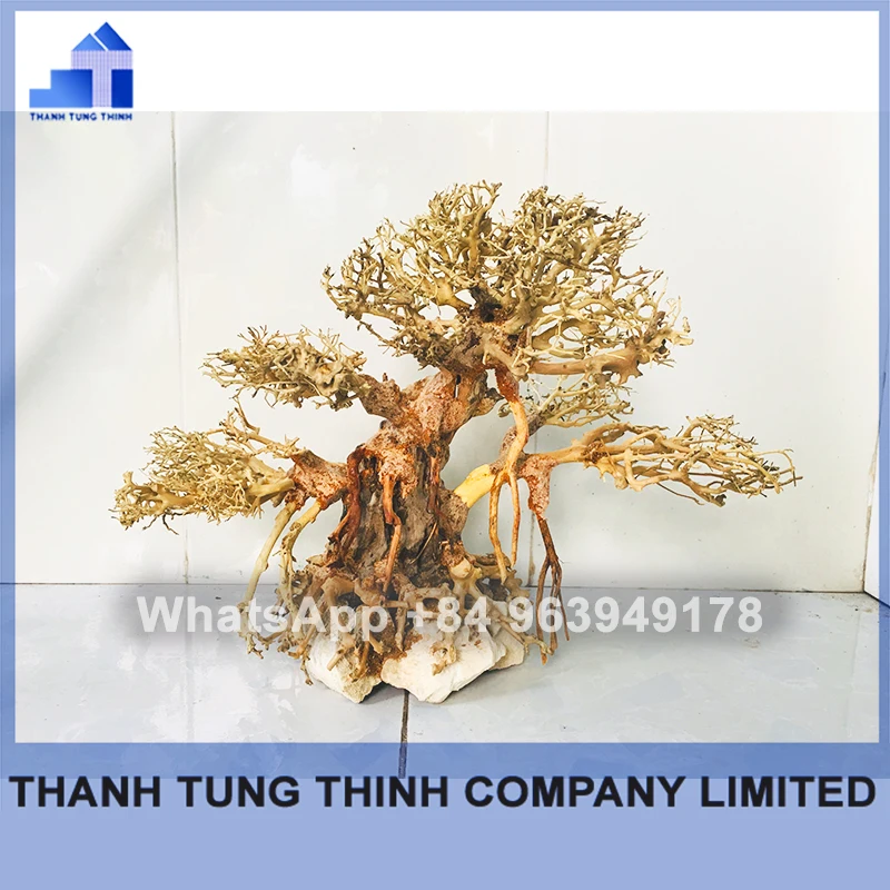 2024 Hot Design Wholesale Natural Bonsai driftwood for fish tank aquarium WhatsApp: +84 961005832