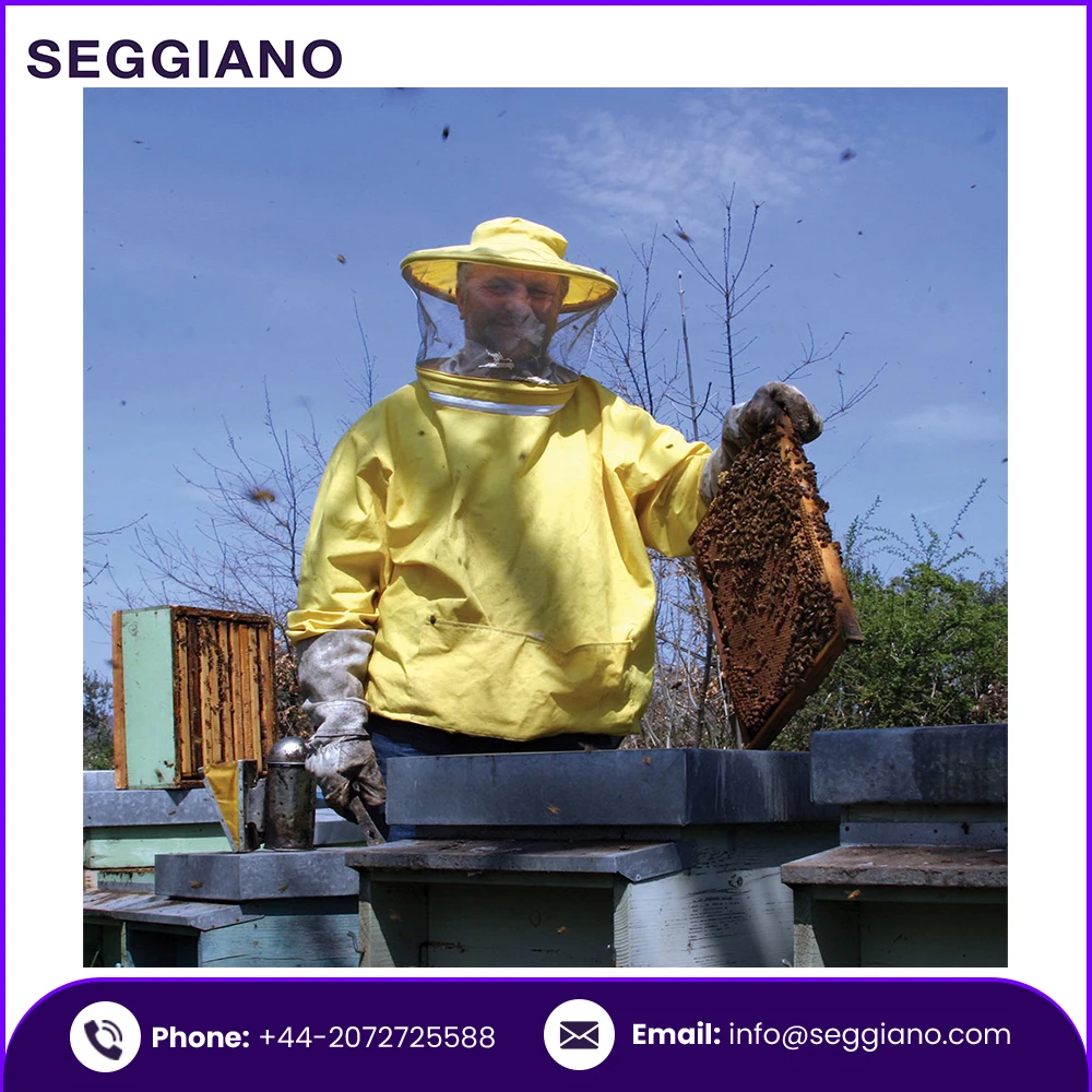 Wholesale 100% Pure Seggiano Sicilian Orange Blossom Raw Honey 500g