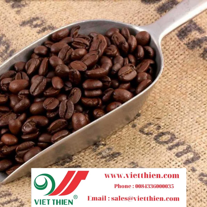 Arabica coffee with delicious taste is a high quality coffee grown in many parts of the world and Vietnam is one of them