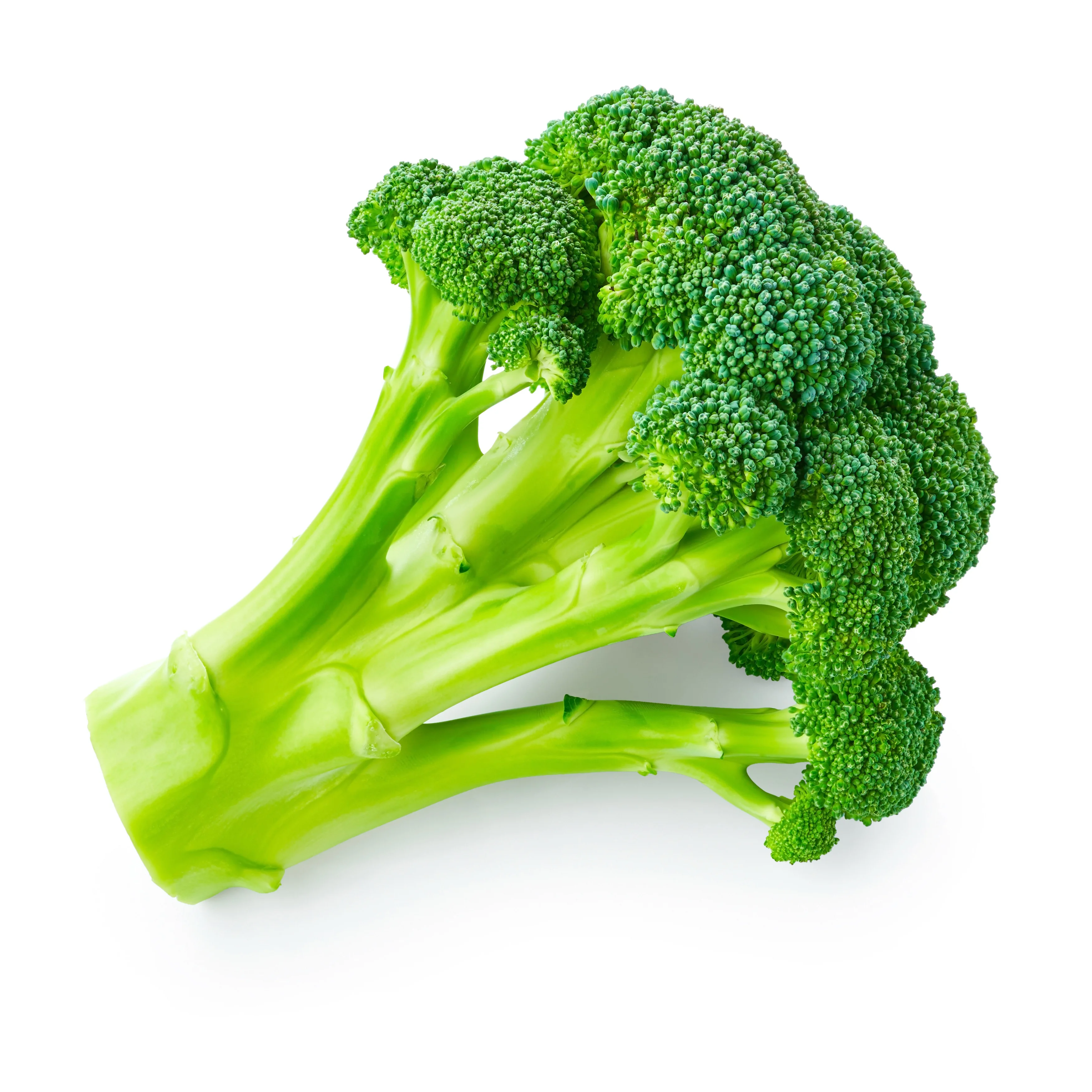%100 Natural Wholesale Fresh Broccoli Vegetable Origin Turkey High Quality Fresh Broccoli (1600388648375)