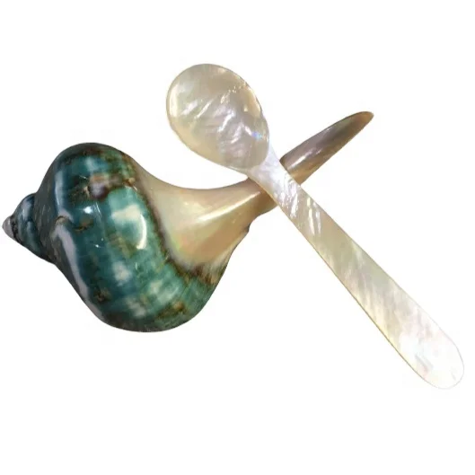Classic style spoon for caviar popularly used for caviar shops provided by Vietcrafts