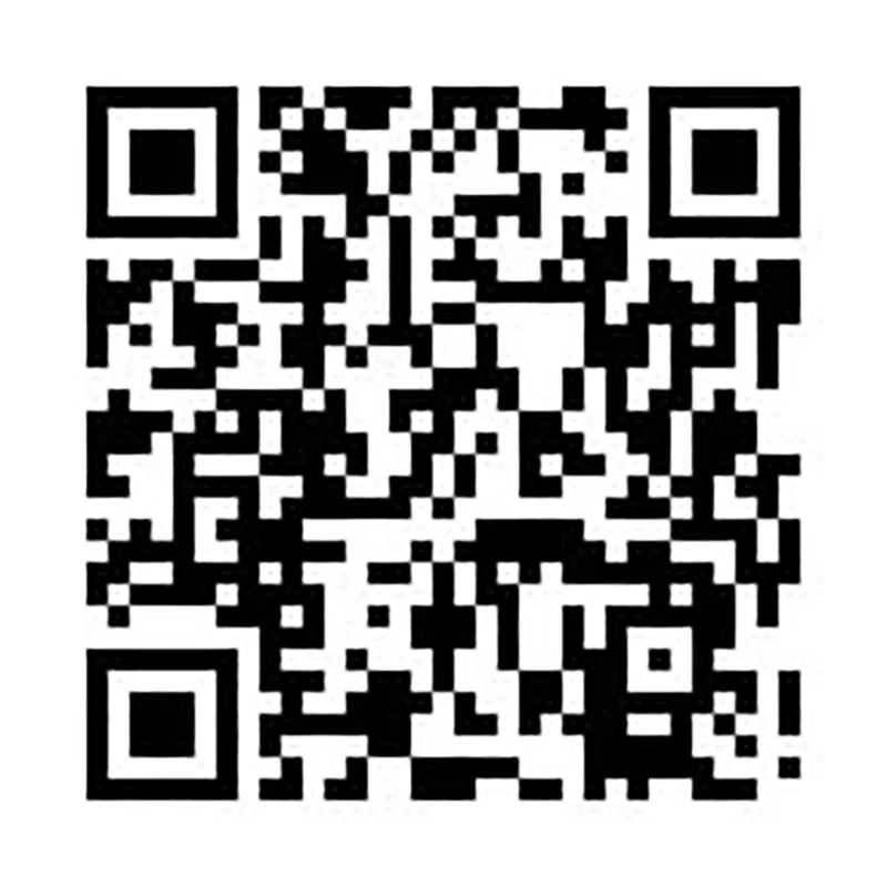 Axial Metallized polyester film capacitor 630V for Audio application