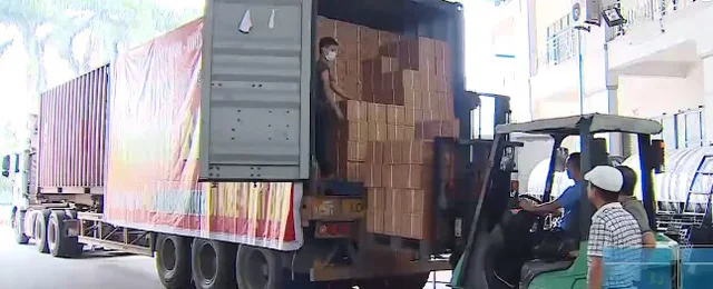 GOOD PRICE Dried Green Mung Bean with high quality from Vietnam - ATL GLOBAL