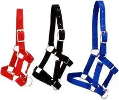 low price  Nylon Halter Sports & Entertainment>Outdoor Affordable Luxury Sports>Horse Racing>Halters