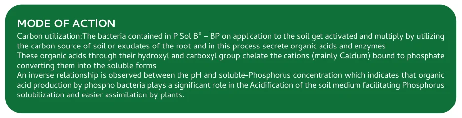 Screenshot (1152).png