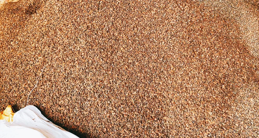 Broken Star Anise   Star Anise Seed Fennel & Aniseed Raw Agricultural Product Herbal Medicine Anise Star